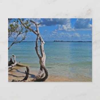 Debris To Blind Pass Postcard by DragonL8dy at Zazzle