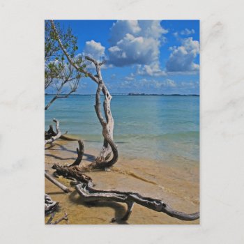 Debris To Blind Pass Postcard by DragonL8dy at Zazzle