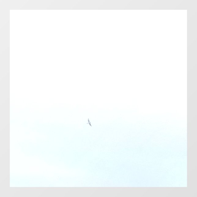 DECAL WALL DESIGN STYLE  (Front)