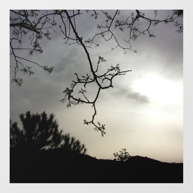 DECAL WALL STYLE AND DESIGN (Front)