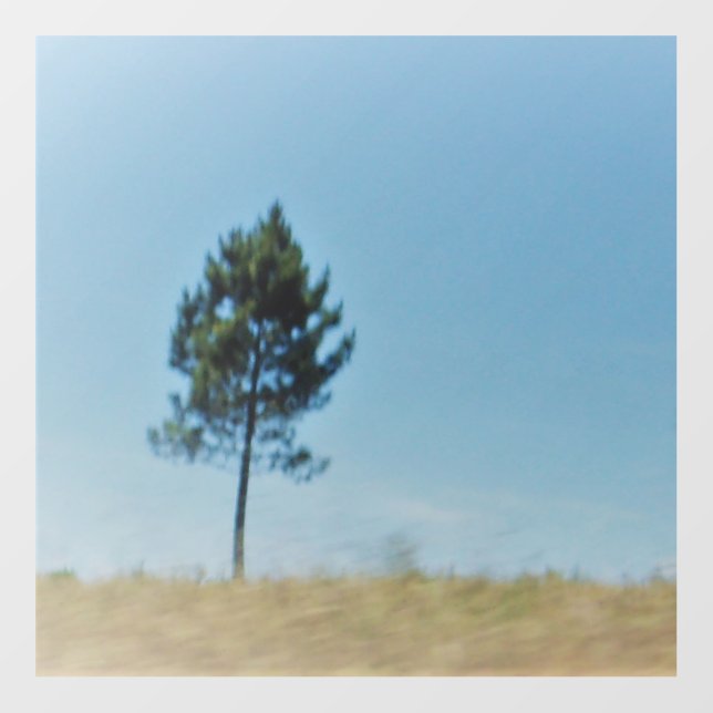 DECAL WALL STYLE AND DESIGN (Front)