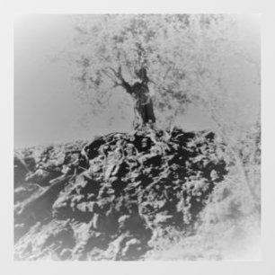 DECAL WALL STYLE AND DESIGN