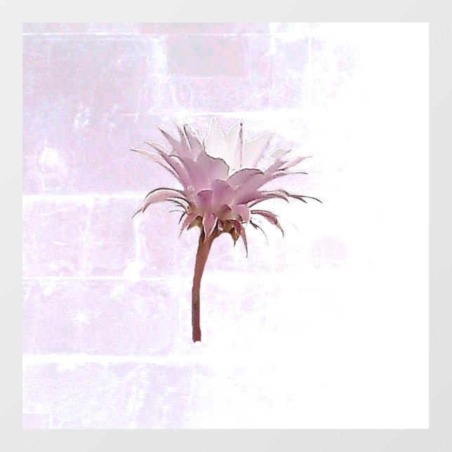 DECAL WALL STYLE AND DESIGN (Front)