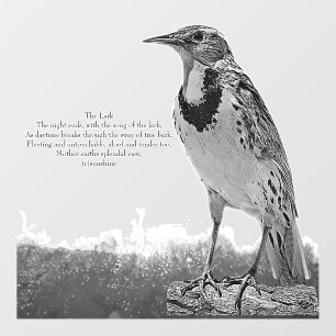 DECAL WALL STYLE AND DESIGN