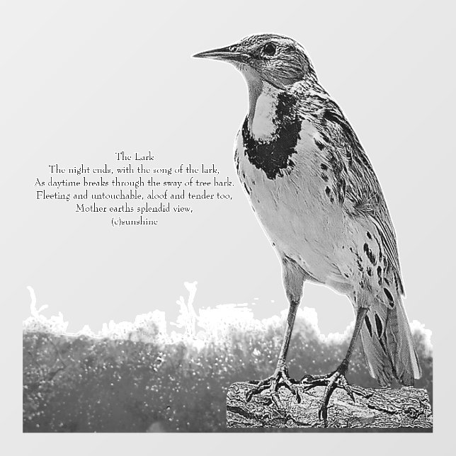 DECAL WALL STYLE AND DESIGN (Front)