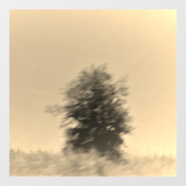 DECAL WALL STYLE AND DESIGN (Front)