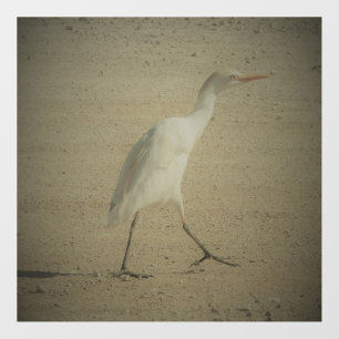 DECAL WALL STYLE AND DESIGN