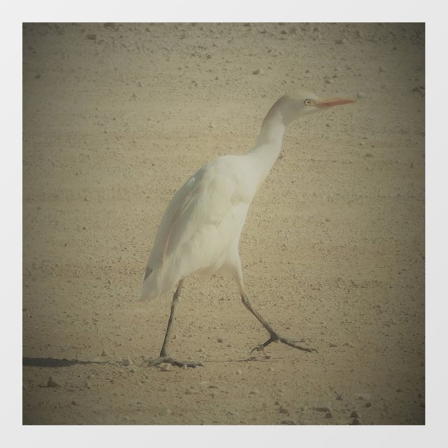 DECAL WALL STYLE AND DESIGN (Front)