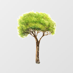 DECAL WALL STYLE AND DESIGN