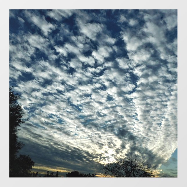 DECAL WALL SYTLE AND DESIGN (Front)