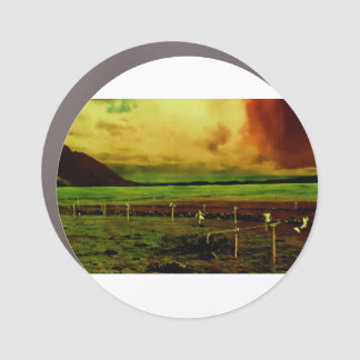 Decals & Car Magnets for Personalized Style on the