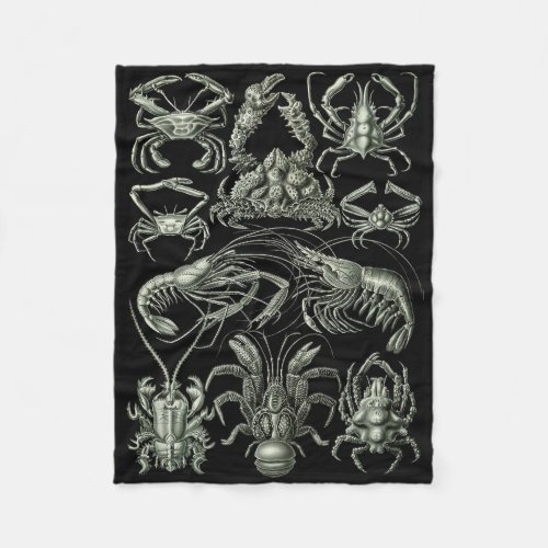 Decapoda crustaceans illustration fleece blanket