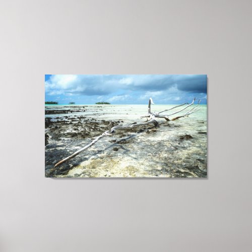 Decay in Paradise canvas print
