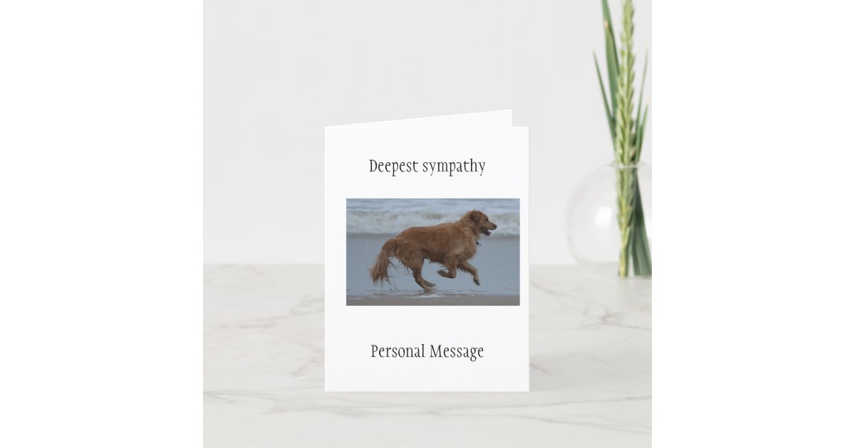 Deceased dog in loving memory golden retriever card Zazzle