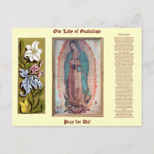 December 12 Our Lady of Guadalupe Postcard