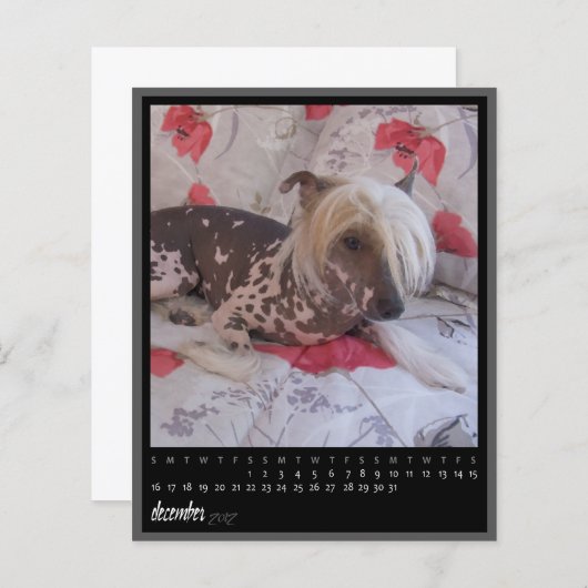 december 2012 calendar (Front/Back)