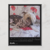 december 2012 calendar (Front)