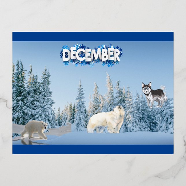 December Arctic Harmony  Foil Holiday Postcard ("Embrace the chill")