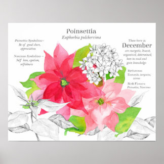 December Birth Flower Language of Flowers Poster