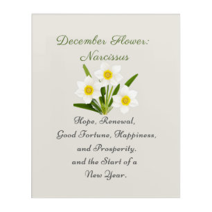 December Birth Month Flower Narcissus Elegant     Acrylic Print