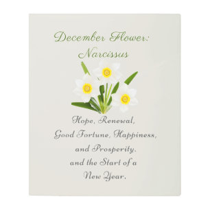December Birth Month Flower Narcissus Elegant     Metal Print