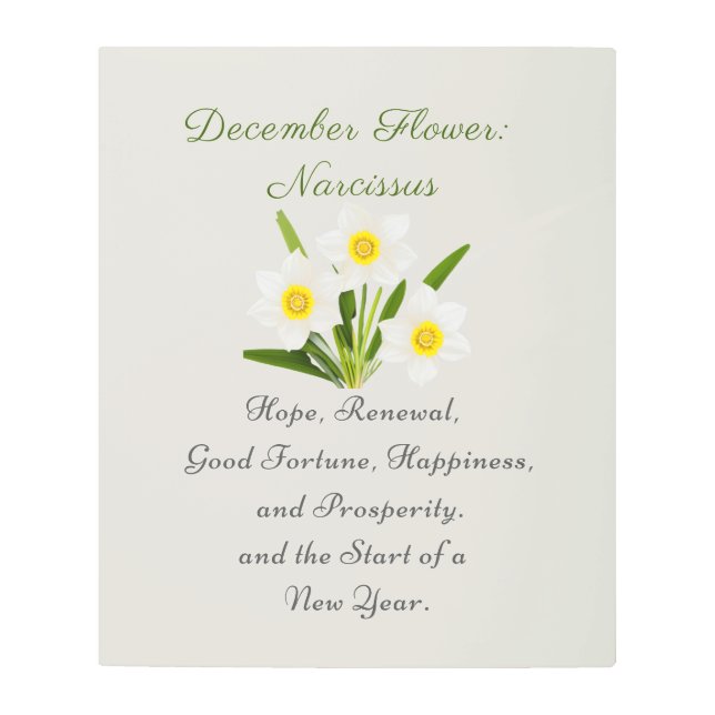 December Birth Month Flower Narcissus Elegant     Metal Print (Front)