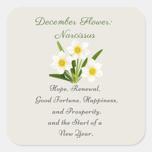 December Birth Month Flower Narcissus Elegant     Square Sticker