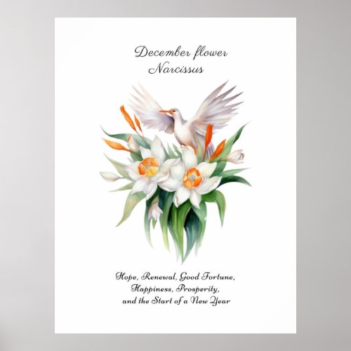December Birth Month Flower Narcissus      Poster