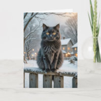 December Birthday Black Cat On a Snowy Fence