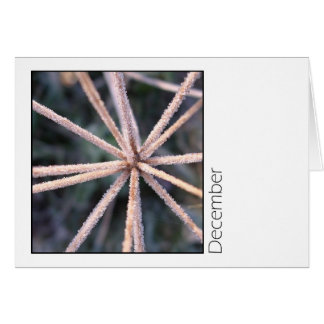 December Cards
