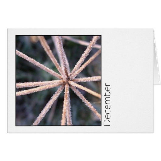 December Cards (Front Horizontal)