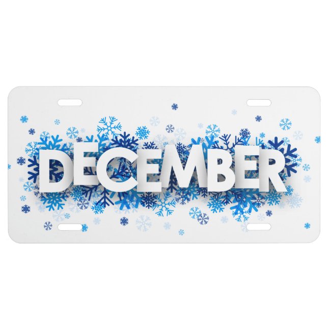 December License Plate (Front)