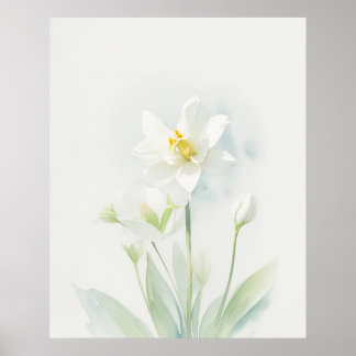 December Narcissus Birth Flower Poster