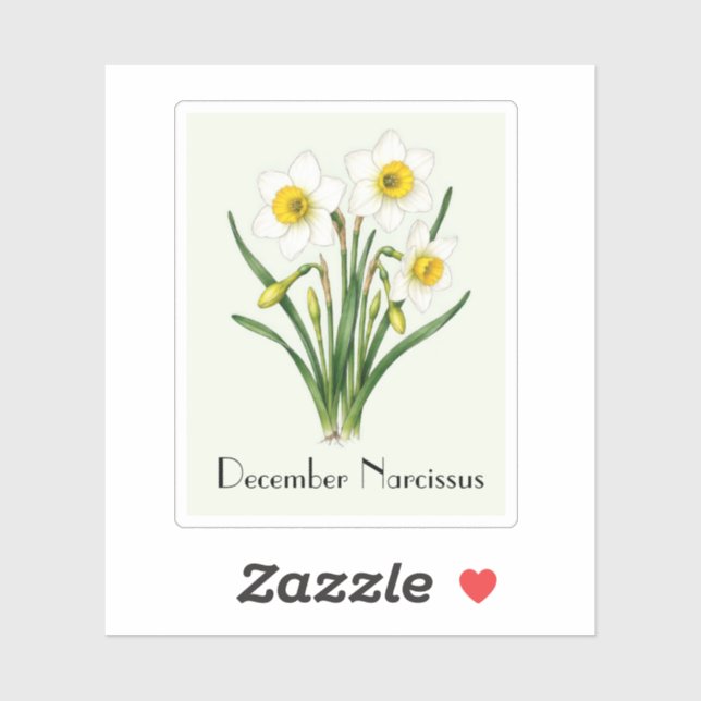 December Narcissus Flowers Sticker (Sheet)