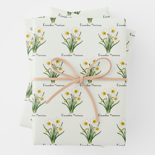 December Narcissus Flowers Wrapping Paper Sheets (In situ)