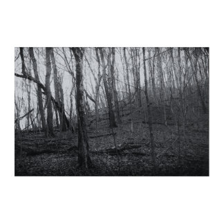 December Winter Black and White Trees Acrylic Print