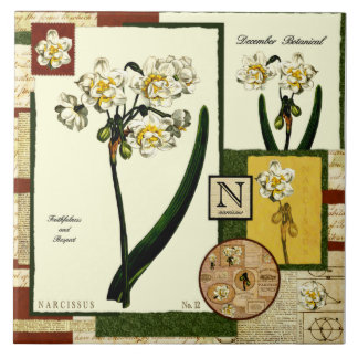 December's Flower Ceramic Tile
