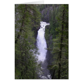 deceptionfalls cards