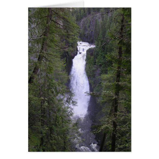 deceptionfalls cards (Front)