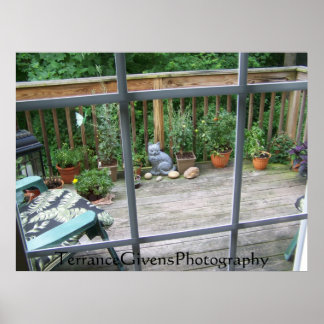 Deck Cat In Window Poster