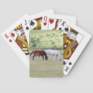 Deck of Cards, Horse Family Grazing Photograph Poker Cards