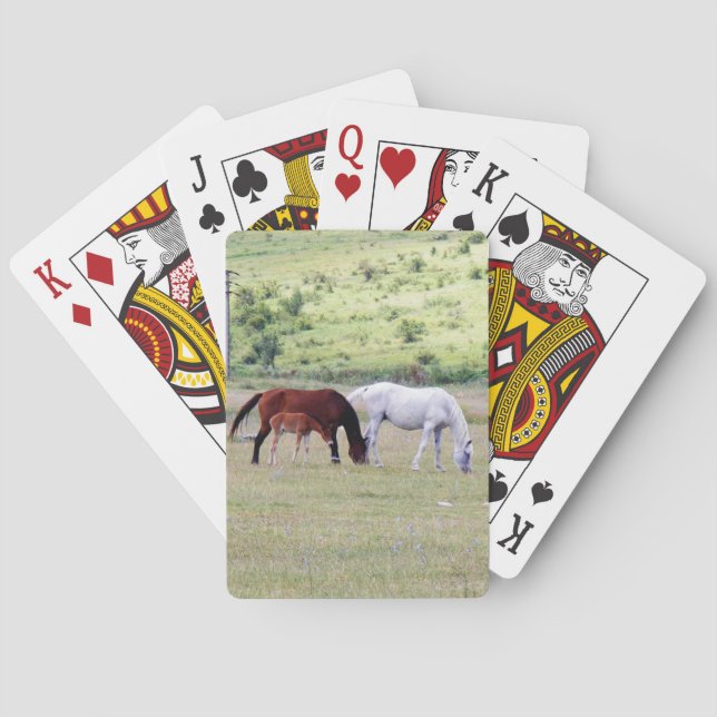 Deck of Cards, Horse Family Grazing Photograph Poker Cards (Back)