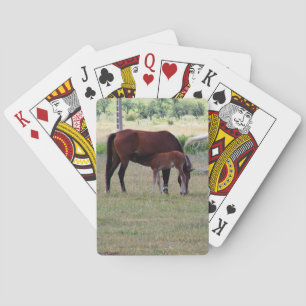 Deck of Cards, Horse Family Grazing Photograph Poker Cards