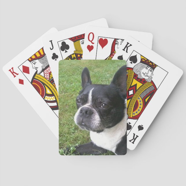 deck of playing cards, with boston terrier poker cards (Back)