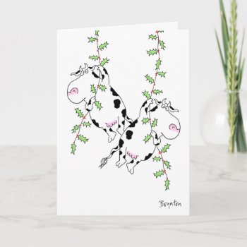 Deck The Halls With Cows And Holly By Boynton Holiday Card by SandraBoynton at Zazzle