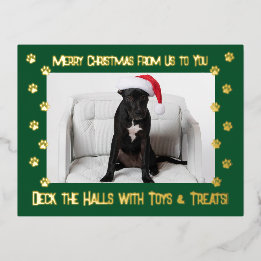 Deck the Halls With Toys & Treats Dog 2 Photo Foil Holiday Postcard