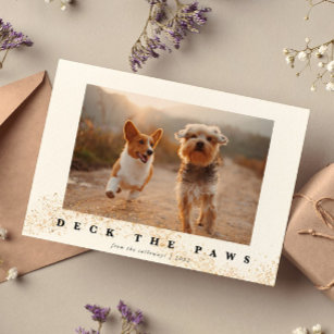 Deck The Paws Cute Pet Photo Christmas Holiday Card
