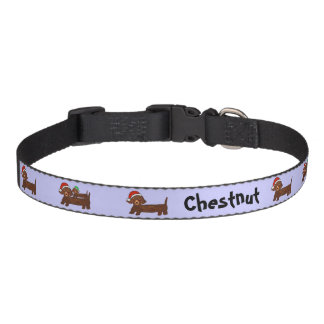 Decked out Dachshunds Dog Collar