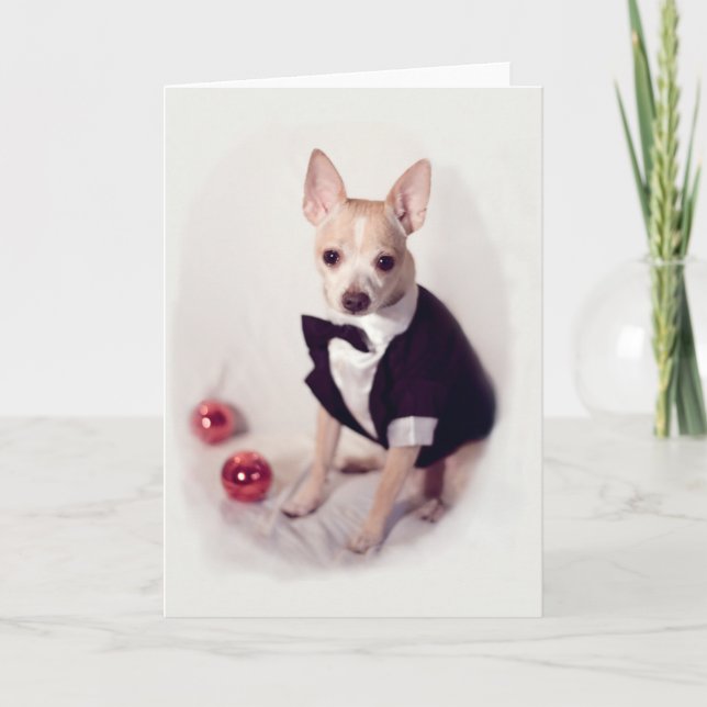 Decked Out Dog Holiday Card (Front)