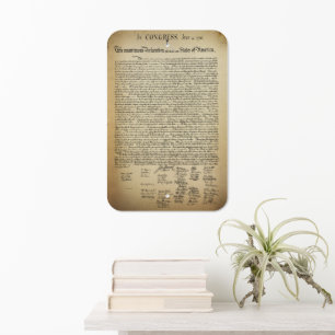 Declaration of Independence Metal Sign